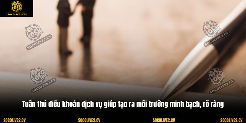 Tuân thủ điều khoản dịch vụ giúp tạo ra môi trường minh bạch, rõ ràng