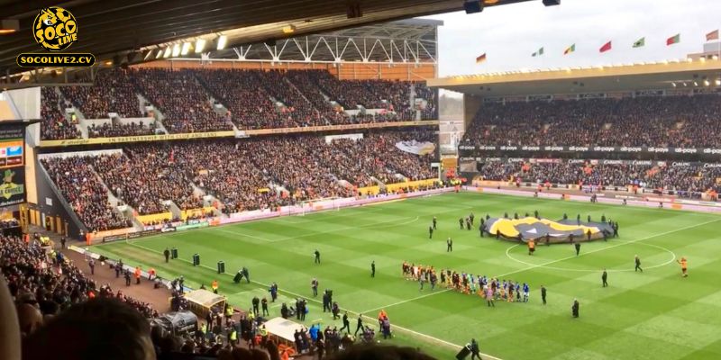 Nhận định Wolverhampton Wanderers vs Arsenal 03h00 19/02: Pháo thủ hành quân đến hang Sói Molineux